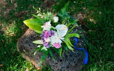 Begleitung bei Verlust und Trauer